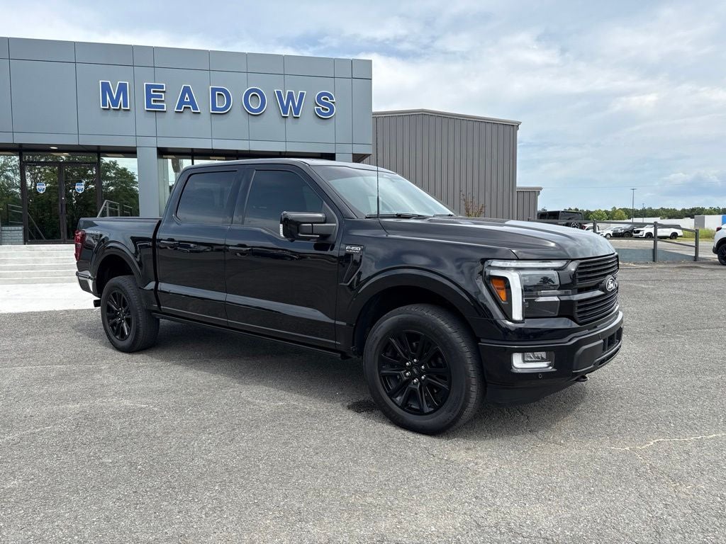 2024 Ford F-150 Platinum - Photo 6