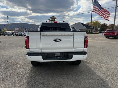 2025 Ford F-150 Platinum MEADOWS EDITION!!